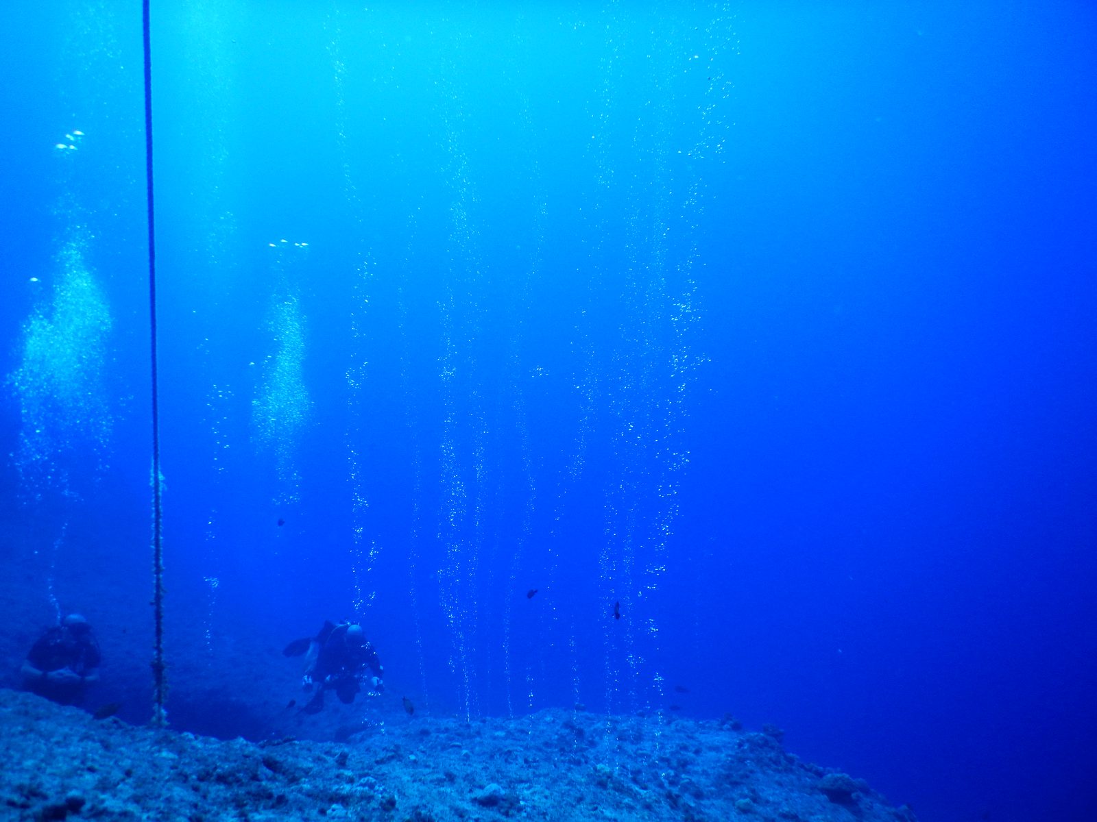 블루홀 - 버블 컬럼