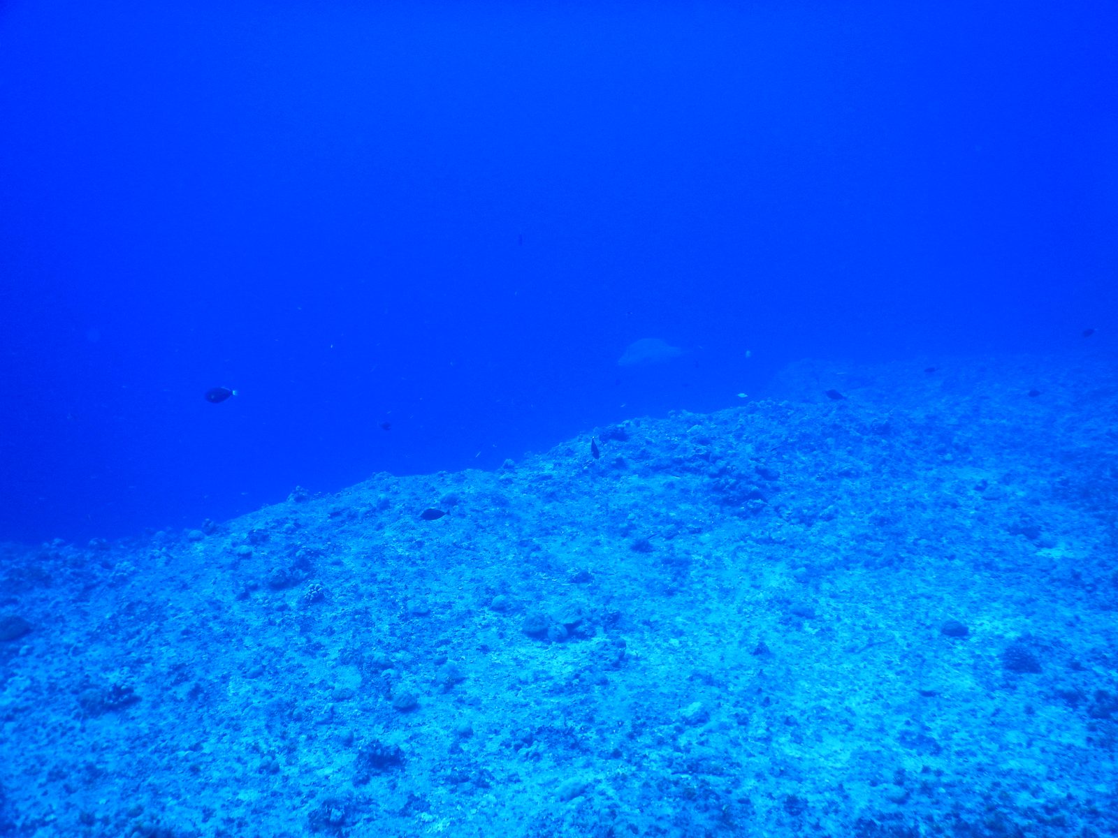 블루홀 - 수중 지형