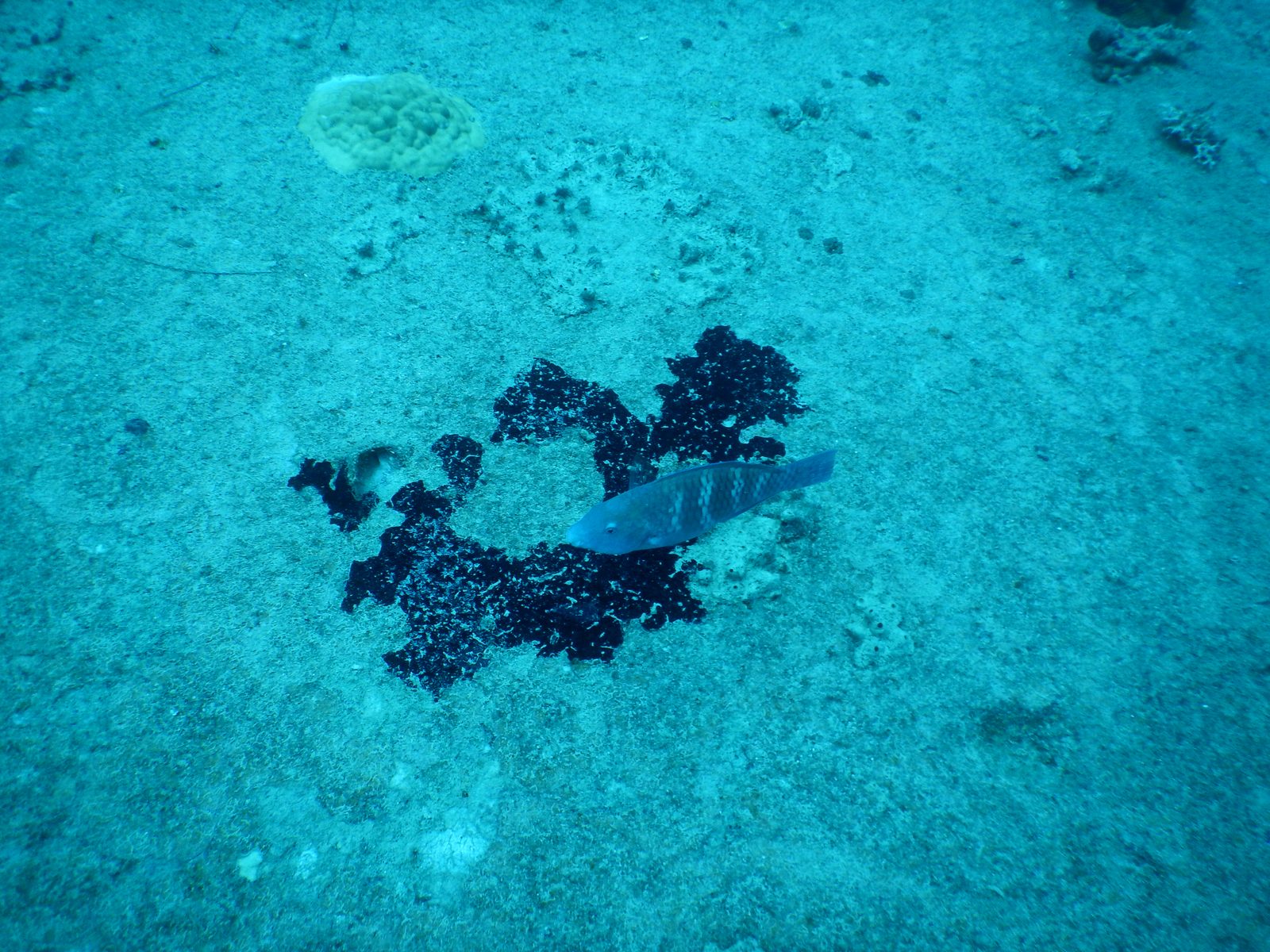 난파선 포인트 - 구조물 디테일