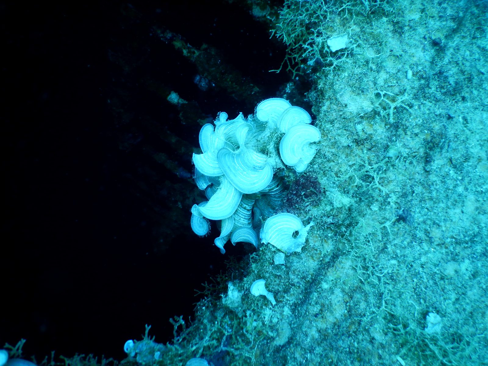 난파선 포인트 - 측면 구간